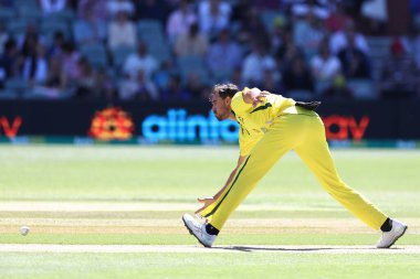 Mitch Starc of Australia fields the ball during the Dettol ODI Series match Australia vs England at Adelaide Oval, Adelaide, Australia, 17th November 2022 clipart