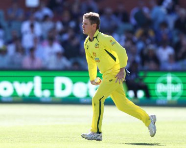Dettol ODI Serisi sırasında Avustralyalı Adam Zampa Avustralya ile İngiltere arasında Adelaide, Adelaide, Avustralya 'da oynanan karşılaşma, 17 Kasım 2022