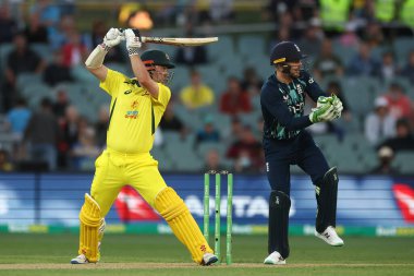 Travis Head of Australia is seen during the Dettol ODI Series match Australia vs England at Adelaide Oval, Adelaide, Australia, 17th November 2022 clipart