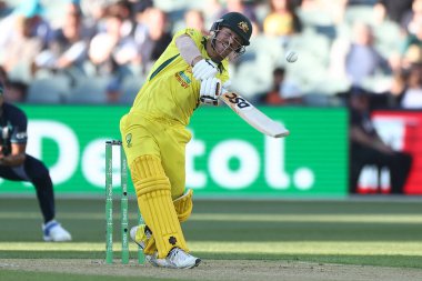  Avustralyalı David Warner, 17 Kasım 2022 'de Adelaide, Adelaide, Avustralya' da oynanan Dettol ODI Serisi karşılaşmasında şut çekti.