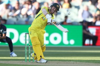  David Warner of Australia plays a shot during the Dettol ODI Series match Australia vs England at Adelaide Oval, Adelaide, Australia, 17th November 2022 clipart