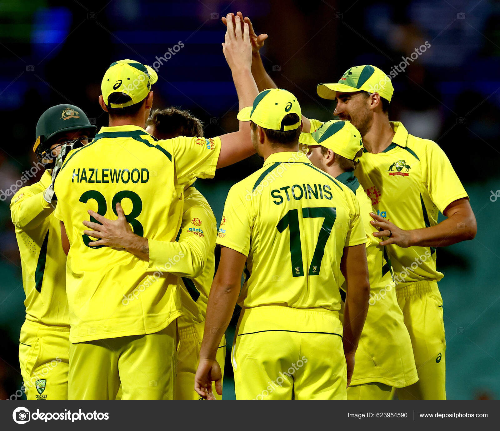 Australia Celebrate Dismissal Sam Curran England Dettol Series 2Nd