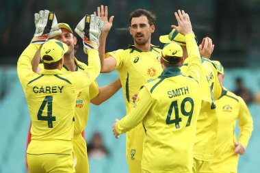  Avustralyalı Mitchell Starc, İngiliz Jason Roy 'un 19 Kasım 2022' de SCG, Sydney, Avustralya 'da oynanan 2.