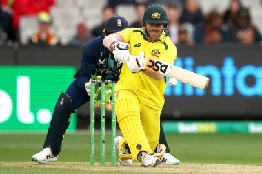 David Warner of Australia bats during the Dettol ODI Series match Australia vs England at Melbourne Cricket Ground, Melbourne, Australia, 22nd November 2022 clipart