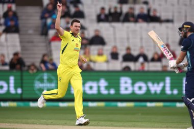 Avustralyalı Josh Hazlewood, 22 Kasım 2022 'de Melbourne, Melbourne, Avustralya' da oynanan Dettol ODI Serisi karşılaşmasında İngiliz David Malan 'ın kalesini almasını kutluyor.