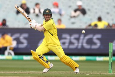 David Warner of Australia bats during the Dettol ODI Series match Australia vs England at Melbourne Cricket Ground, Melbourne, Australia, 22nd November 2022 clipart