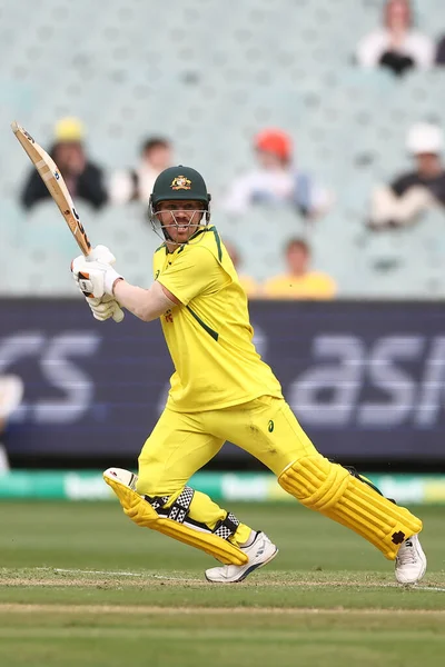 stock image David Warner of Australia bats during the Dettol ODI Series match Australia vs England at Melbourne Cricket Ground, Melbourne, Australia, 22nd November 2022