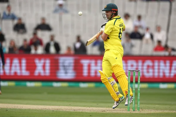 stock image  during the Dettol ODI Series match Australia vs England at Melbourne Cricket Ground, Melbourne, Australia, 22nd November 2022