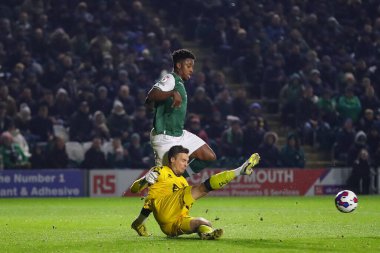Plymouth Argyle 'dan Niall Ennis # 11, 2 Aralık 202' de Plymouth, Plymouth, İngiltere 'de oynanan Sky Bet Lig 1 karşılaşmasında Jack Stevens' a baskı yapıyor.