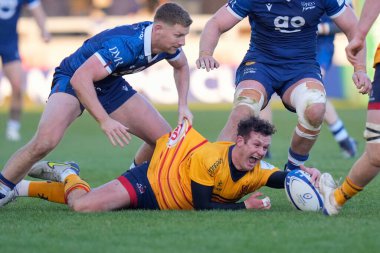 Billy Burns # 10 of Ulster Rugby, 11 Aralık 2022 'de AJ Bell Stadyumu, Eccles, İngiltere' de oynanan Avrupa Şampiyonlar Kupası B Grubu Satış Köpekbalıkları vs Ulster Rugby maçında Rob Du Preez # 10 'dan top çaldıktan sonra topu geri atıyor.