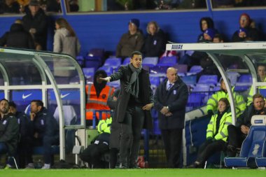 Liam Rosenior Hull City 'nin menajeri 30 Aralık 202' de Birmingham City 'nin St Andrews, Birmingham' da Hull City 'ye karşı oynadığı Gökyüzü İddia Şampiyonası maçında oyuncularına bağırıyor.