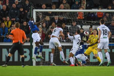 Swansea City 'den Steven Benda # 13, 30 Aralık 202' de Swansea.com Stadyumu 'nda Watford' da oynanan Sky Bet Şampiyonası maçında Keinan Davis # 7 'den kurtarır.