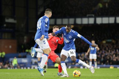 Everton 'dan Abdoulaye Doucoure Premier Lig maçı sırasında Goodison Park, Liverpool' da Everton ve Hove Albion 'a karşı 3 Ocak 202' de çekimler yapıyor.