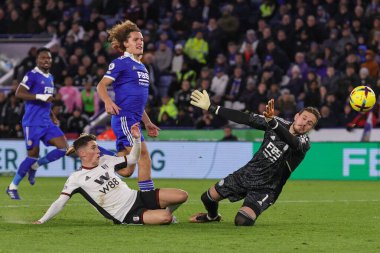 Fulham 'dan Harry Wilson 3 Ocak 202' de King Power Stadyumu 'nda Leicester City Fulham' a karşı oynanan Premier League maçında topu kalenin hemen dışına attı.