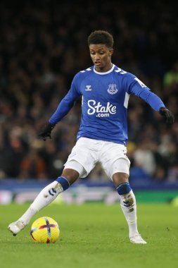 Everton 'dan Demarai Gray # 11 Premier Lig maçı sırasında Goodison Park, Liverpool' da Everton ve Hove Albion 'a karşı, 3 Ocak 202