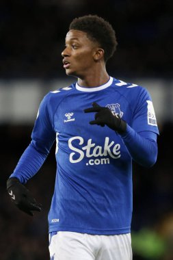 Premier Lig maçı sırasında Everton, Brighton ve Hove Albion 'a karşı Goodison Park, Liverpool, İngiltere, 3 Ocak 202