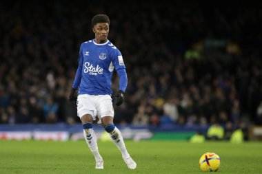 Everton 'dan Demarai Gray 3 Ocak 202 tarihinde İngiltere' nin Liverpool kentinde Goodison Park 'ta oynanan Premier Lig maçında topu Everton ve Hove Albion' a paslıyor.