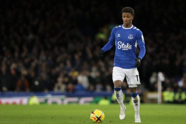 Everton 'dan Demarai Gray # 11 Premier Lig maçı sırasında Goodison Park, Liverpool' da Everton ve Hove Albion 'a karşı, 3 Ocak 202