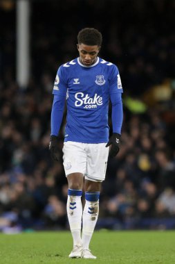 Everton Premier Lig maçında Everton, Goodison Park, Liverpool 'da Everton ve Hove Albion' a karşı oynadığı 11 numaralı depresif Demarai Gray maçı, 3 Ocak 202