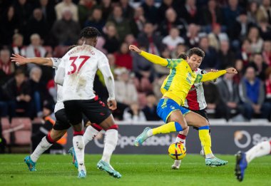 Nottingham Ormanı 'ndan Brennan Johnson # 20 Premier Lig maçı sırasında Southampton Nottingham Ormanı' na karşı St Mary Stadyumu, Southampton, İngiltere, 4 Ocak 202