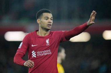 Liverpool 'dan Cody Gakpo # 18, Liverpool FA Cup Üçüncü Raundunda Liverpool' a karşı Wolverhampton Wanderers Anfield, Liverpool, İngiltere 'de, 7 Ocak 202