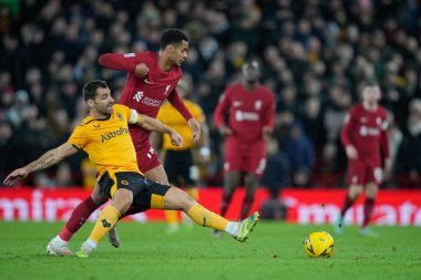 Liverpool 'dan Cody Gakpo, 7 Ocak 202' de Anfield, Liverpool, İngiltere 'de oynanan Liverhampton Wanderers maçında Wolverhampton Wanderers' ın 19.