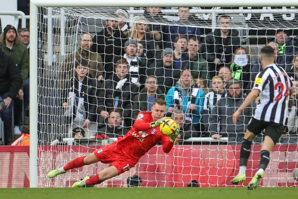 Bernd Leno #17 of Fulham saves a shot from Callum Wilson #9 of Newcastle United during the Premier League match Newcastle United vs Fulham at St. James's Park, Newcastle, United Kingdom, 15th January 202