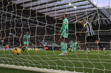 Callum Wilson #9 of Newcastle United celebrates Alexander Isak #14 of Newcastle United goal to make it 1-0 during the Premier League match Newcastle United vs Fulham at St. James's Park, Newcastle, United Kingdom, 15th January 202