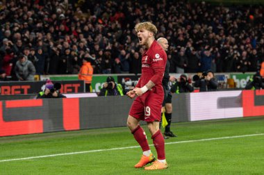 Harvey Elliott #19 of Liverpool celebrates his goal to make it 0-1 during the Emirates FA Cup Third Round Replay match Wolverhampton Wanderers vs Liverpool at Molineux, Wolverhampton, United Kingdom, 17th January 202