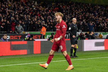 Harvey Elliott #19 of Liverpool celebrates his goal to make it 0-1 during the Emirates FA Cup Third Round Replay match Wolverhampton Wanderers vs Liverpool at Molineux, Wolverhampton, United Kingdom, 17th January 202