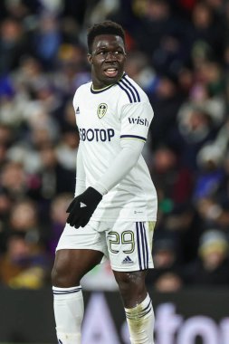 Wilfried Gnonto #29 of Leeds United during the Emirates FA Cup Third Round replay Leeds United vs Cardiff City at Elland Road, Leeds, United Kingdom, 18th January 202
