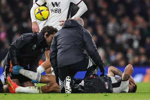 Aleksandar Mitrovi #9 of Fulham receives treatment for an injury during the Premier League match Fulham vs Tottenham Hotspur at Craven Cottage, London, United Kingdom, 23rd January 2023
