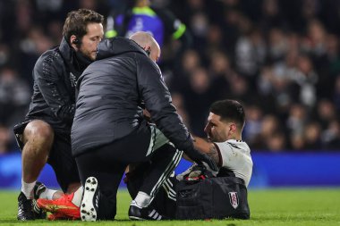 Aleksandar Mitrovi #9 of Fulham receives treatment for an injury during the Premier League match Fulham vs Tottenham Hotspur at Craven Cottage, London, United Kingdom, 23rd January 2023