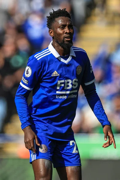 Wilfred Ndidi Leicester City Dipper Chicks Fledge Easter Saturday River — Stock Fotó