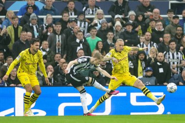 Newcastle United 'dan Anthony Gordon kaleciyi UEFA Şampiyonlar Ligi maçı sırasında Borussia Dortmund' a karşı St. James 's Park, Newcastle, İngiltere' de 25 Ekim 2023 'de oynanan maçta parmak ucuyla kurtarmaya zorladı.