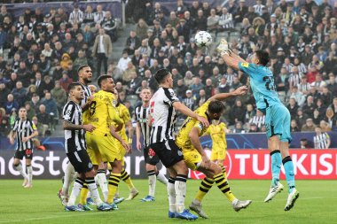 Newcastle United takımının 22 numaralı oyuncusu Nick Pope, UEFA Şampiyonlar Ligi maçı Newcastle United 'ın Borussia Dortmund' a karşı St. James 's Park, Newcastle, İngiltere' de 25 Ekim 2023 'de oynadığı maçta topa vuruyor.