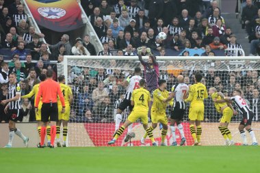 UEFA Şampiyonlar Ligi maçı Newcastle United 'ın Borussia Dortmund' a karşı St. James 's Park, Newcastle, İngiltere' de 25 Ekim 2023 'te oynadığı maçta topu net bir şekilde atıyor.