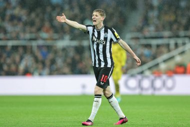 Newcastle United 'dan Anthony Gordon UEFA Şampiyonlar Ligi maçı sırasında takım arkadaşlarına talimat verir. Newcastle United, Borussia Dortmund' a karşı St. James 's Park, Newcastle, İngiltere, 25 Ekim 2023