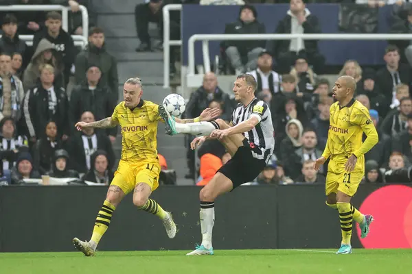 Newcastle United 'dan Dan Burn # 33, UEFA Şampiyonlar Ligi maçı sırasında topu kontrol ediyor. Newcastle United, Borussia Dortmund' a karşı St. James 's Park, Newcastle, İngiltere, 25 Ekim 2023