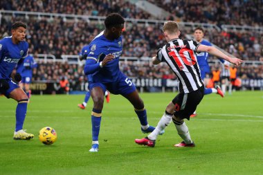 Newcastle United takımından Anthony Gordon 25 Kasım 2023 'te St. James' s Park, Newcastle 'da oynanan Premier League maçında 4-1 berabere kaldı.
