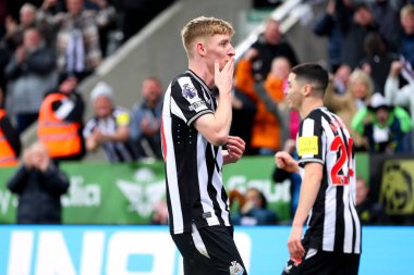 Newcastle United takımından Anthony Gordon 25 Kasım 2023 'te St. James' s Park, Newcastle, İngiltere 'de oynanan Premier League karşılaşmasında golünü kutluyor.