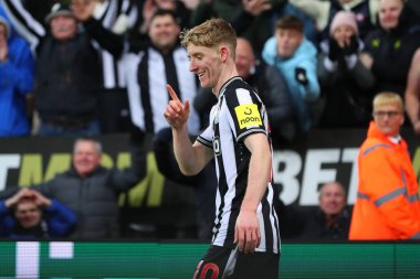 Newcastle United takımından Anthony Gordon 25 Kasım 2023 'te St. James' s Park, Newcastle 'da oynanan Premier League maçı sırasında 4-1' lik galibiyetini kutluyor.