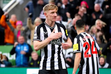 Newcastle United takımından Anthony Gordon 25 Kasım 2023 'te St. James' s Park, Newcastle, İngiltere 'de oynanan Premier League karşılaşmasında golünü kutluyor.