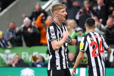 Newcastle United takımından Anthony Gordon 25 Kasım 2023 'te St. James' s Park, Newcastle 'da oynanan Premier League maçı sırasında 4-1' lik galibiyetini kutluyor.