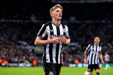 Newcastle United takımından Anthony Gordon 25 Kasım 2023 'te St. James' s Park, Newcastle, İngiltere 'de oynanan Premier League karşılaşmasında golünü kutluyor.