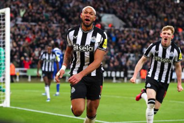 Newcastle United 'dan Joelinton # 7, 25 Kasım 2023' te St. James 's Park, Newcastle, İngiltere' de oynanan Premier League maçı sırasında golünü kutluyor.