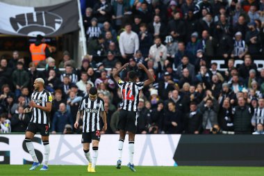 Newcastle United 'dan Alexander Isak 25 Kasım 2023' te St. James 's Park, Newcastle, İngiltere' de oynanan Premier League karşılaşmasında golünü kutluyor.