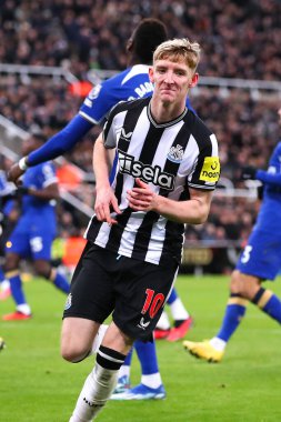Newcastle United takımından Anthony Gordon 25 Kasım 2023 'te St. James' s Park, Newcastle, İngiltere 'de oynanan Premier League karşılaşmasında golünü kutluyor.