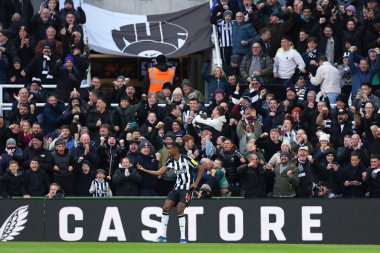 Newcastle United 'dan Alexander Isak 25 Kasım 2023' te St. James 's Park, Newcastle, İngiltere' de oynanan Premier League karşılaşmasında golünü kutluyor.