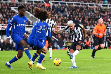 Newcastle United 'dan Bruno Guimares 25 Kasım 2023' te St. James 's Park, Newcastle' da oynanan Premier League maçında gol atıyordu.